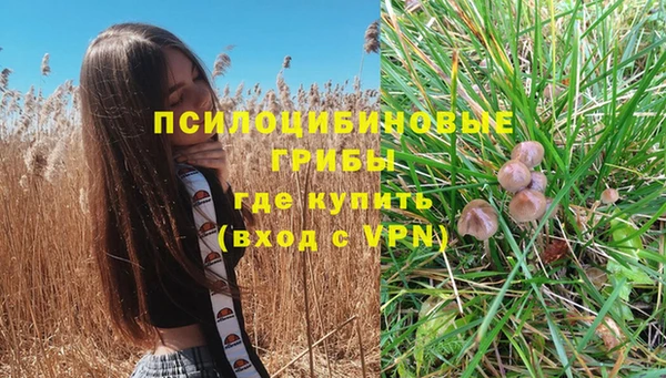 тгк Алексеевка