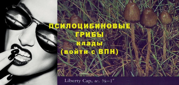 тгк Алексин