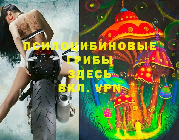 тгк Алексеевка