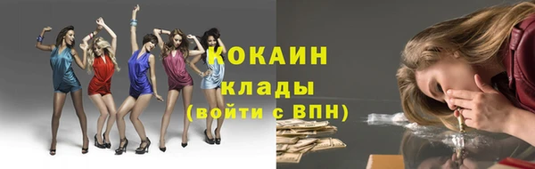 тгк Алексин