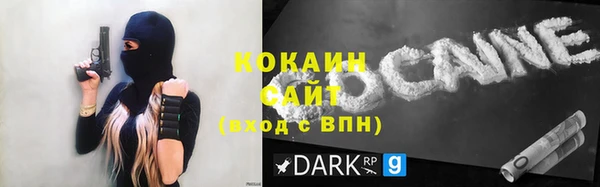 тгк Алексин
