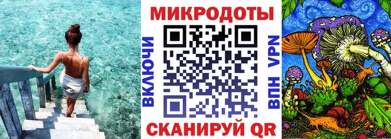 Псилоцибиновые грибы Magic Shrooms  цена наркотик  гидра зеркало  Новоузенск 